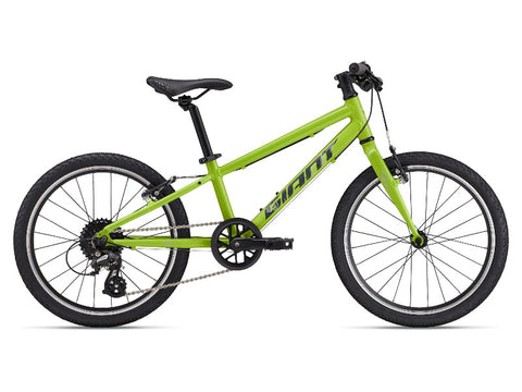 Giant ARX 20 Children's Bike 2025