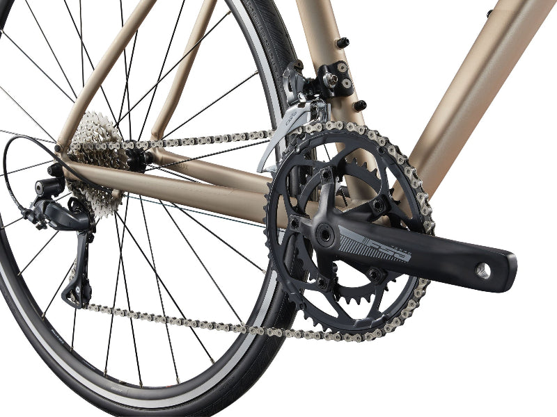 Giant Avail 2 Women's Road Bike 2025 4