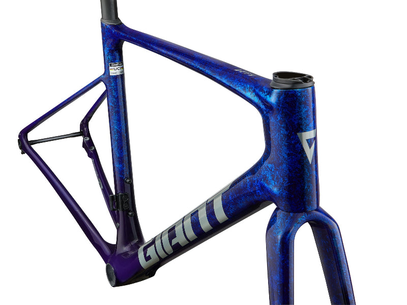 Defy Advanced SL Frameset