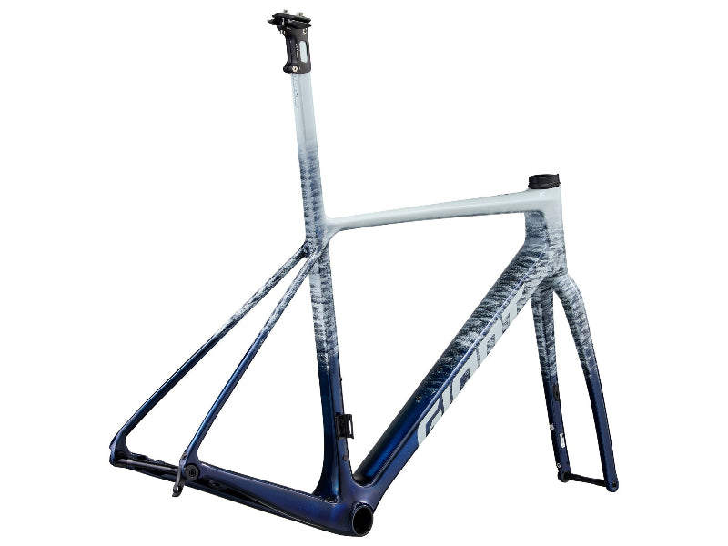 Giant TCR Advanced SL Frameset 2026