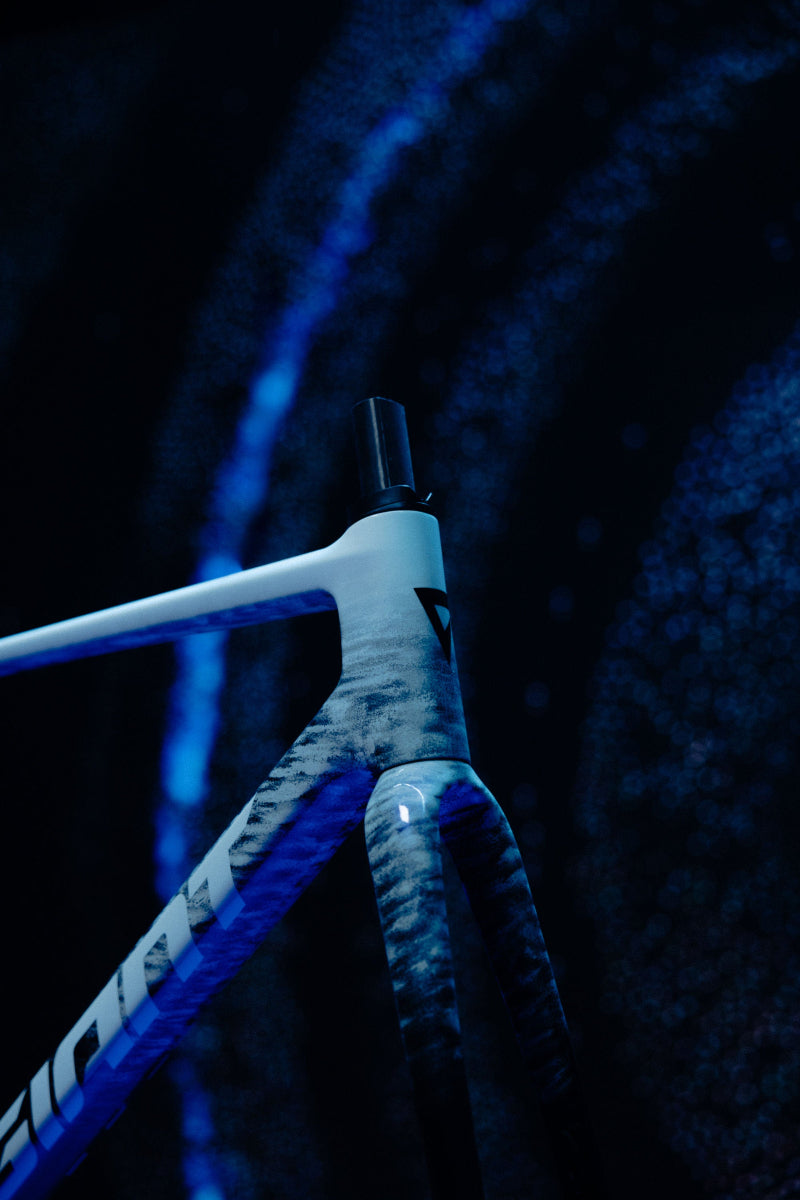 Giant TCR Advanced SL Frameset 2026