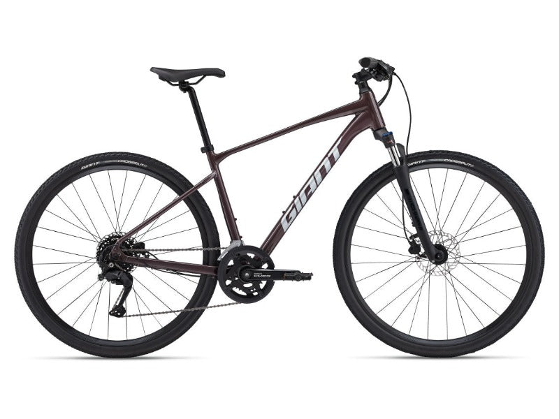 Giant Roam 2 Disc Hybrid Bike 2024