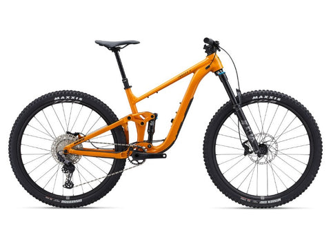 Giant Trance X 2 Mountain Bike 2024