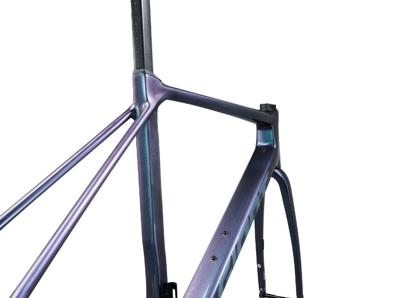 Giant TCR Advanced Pro Frameset 2025 - Angle