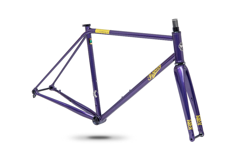 Pashley Roadfinder SL Frameset Hyper Violet 2