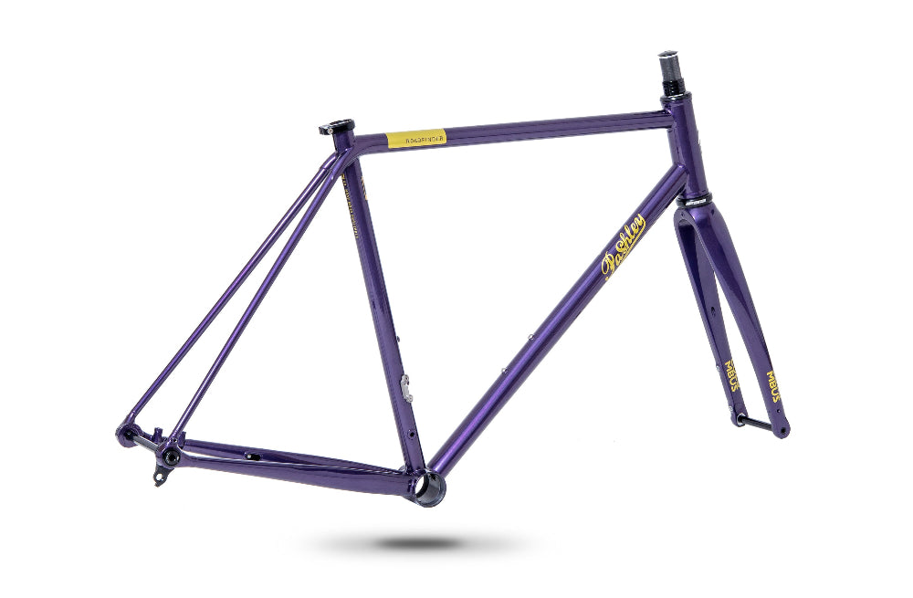 Pashley Roadfinder SL Frameset Hyper Violet 1
