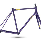 Pashley Roadfinder SL Frameset Hyper Violet 1