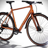 Raleigh Trace Electric Bike