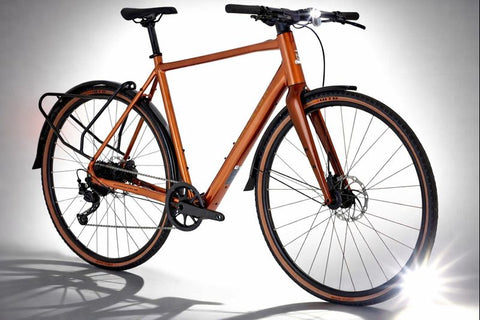 Raleigh Trace Electric Bike