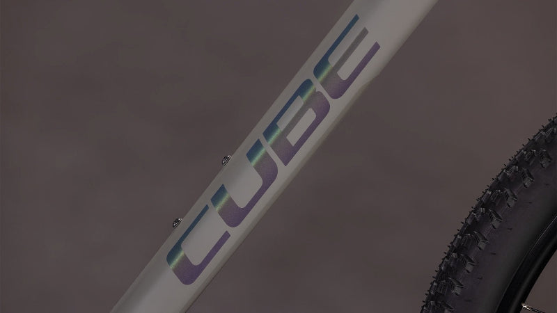 Cube Reaction C:62 ONE Mountain Bike 2026 Old Grey tube