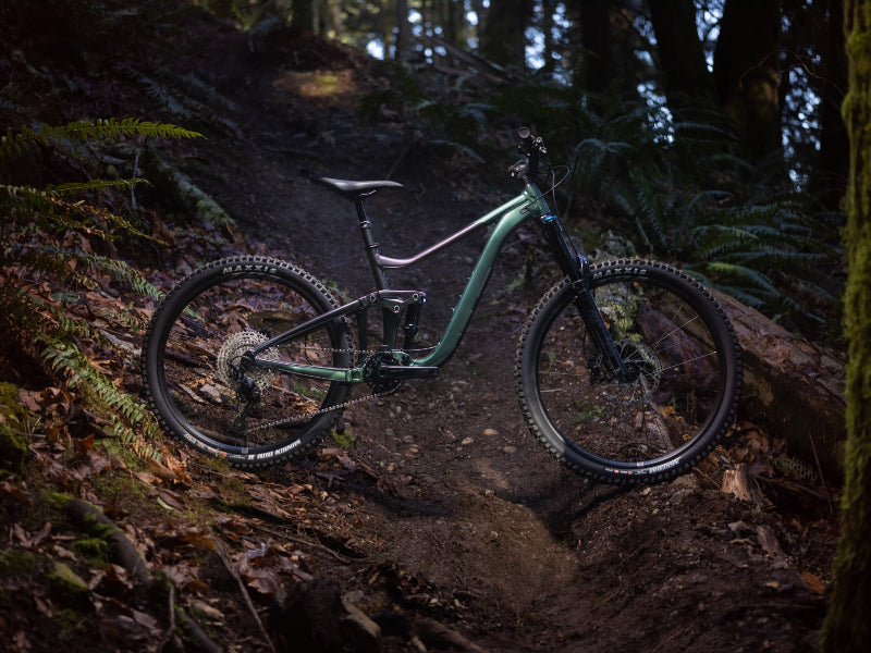 Giant Reign 2 Mountain Bike 2026 1