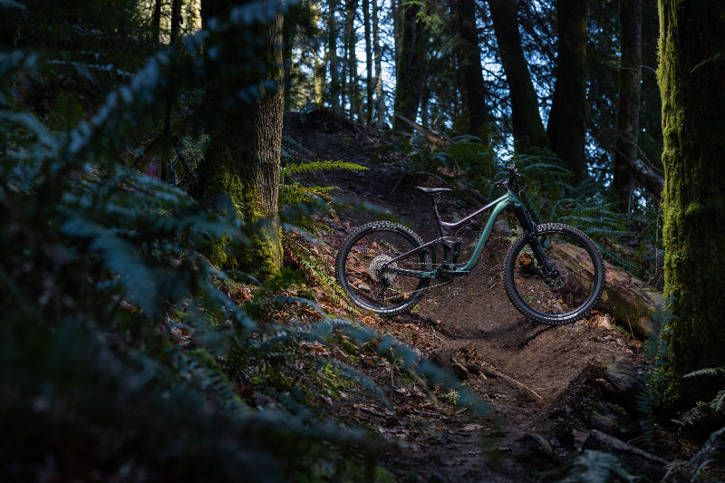 Giant Reign 2 Mountain Bike 2026 2