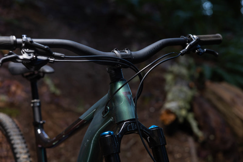 Giant Reign 2 Mountain Bike 2026 3