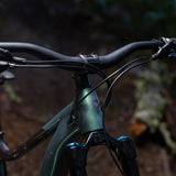 Giant Reign 2 Mountain Bike 2026 3