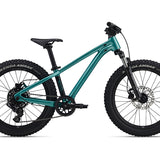 Giant STP 20 FS Children's Bike 2026 1
