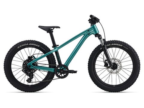Giant STP 20 FS Children's Bike 2026