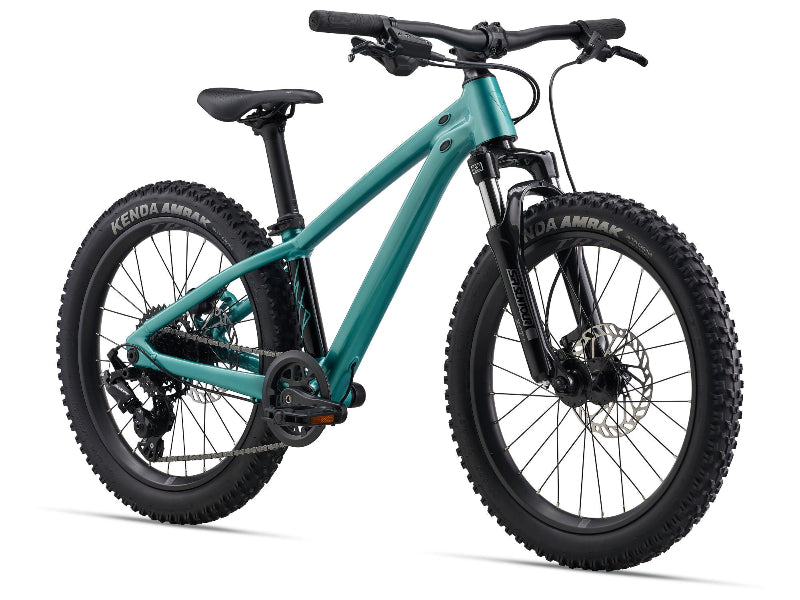 Giant STP 20 FS Children's Bike 2026 2
