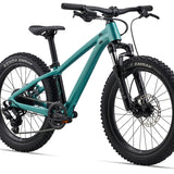 Giant STP 20 FS Children's Bike 2026 2