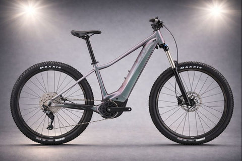 Giant Liv Vall E+ 2 Women's Electric Bike 2024