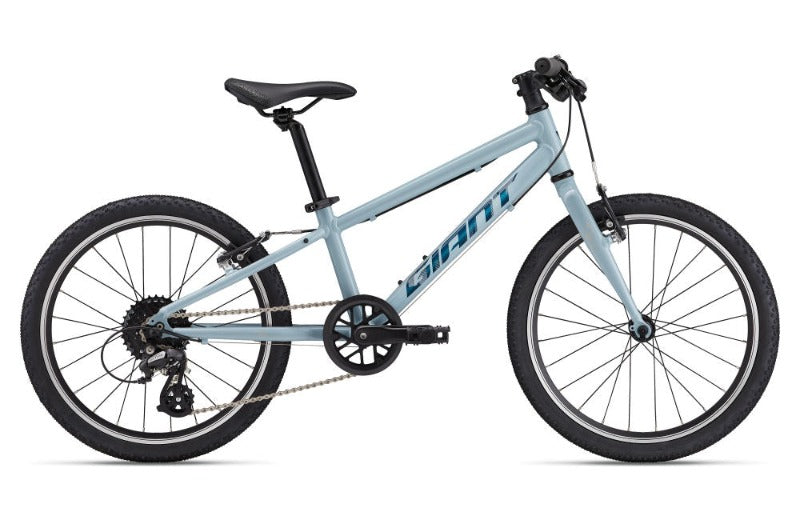 Giant ARX 20 Children's Bike 2025 - Soap Suds