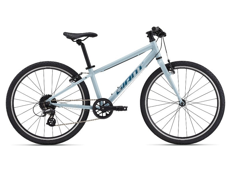 Giant ARX 24 Children's Bike 2025 - Soap Suds