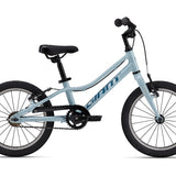 Giant ARX 16 F/W Children's Bike 2025 - Soap Suds