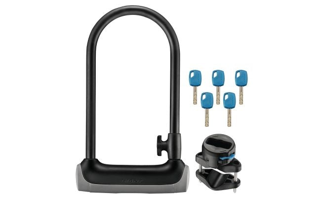 Giant Surelock Protector 2