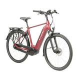 Raleigh Motus Tour Cross Bar Hub Electric Bike - Front view
